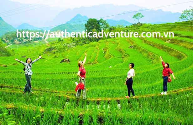 9-Day Vietnam Tour | Explore the North and Central | Top Packages