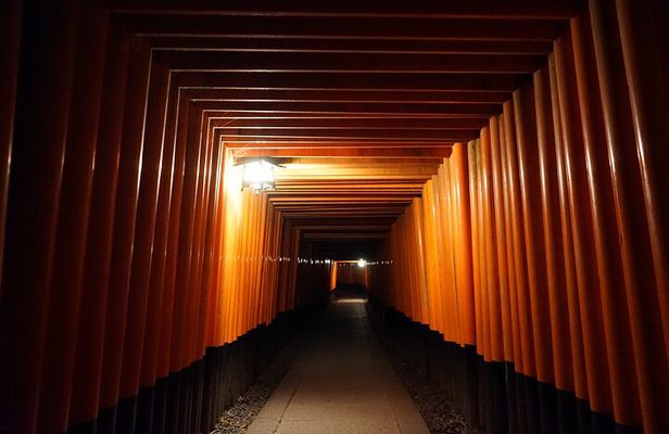 Kyoto Night Walking Guided Tour at Fushimi Inari Shrine