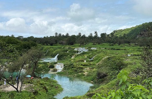 Mountain Safari Private Tour