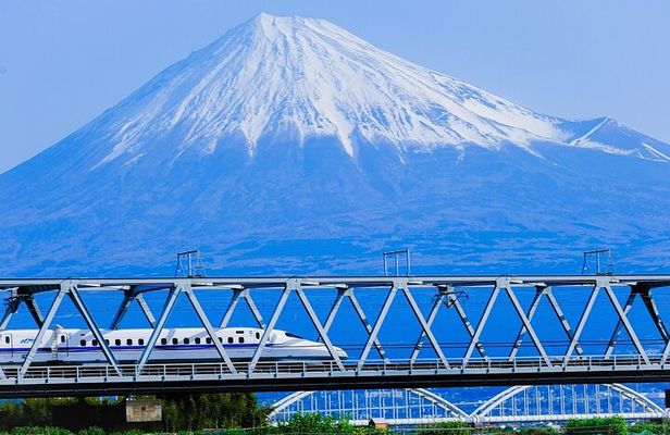 Guided Mt. Fuji & Hakone Tour Bullet Train Return GREEN NUMBER 