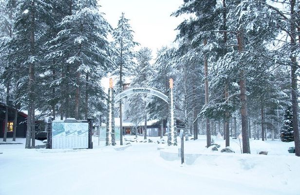 Ranua Zoo- Guided day tour from Rovaniemi 