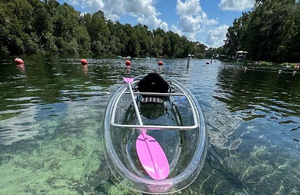 Private Crystal Clear 2 HR Kayak/Paddle Rental on Rainbow River