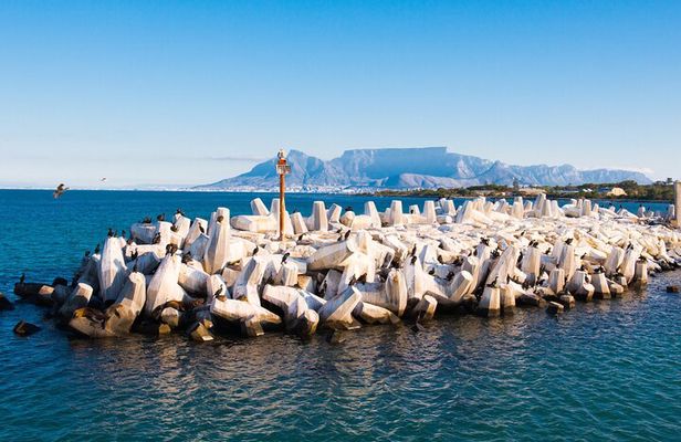 Robben Island Tour; Pickup, Drop-off; Guided Tour Historic Prison