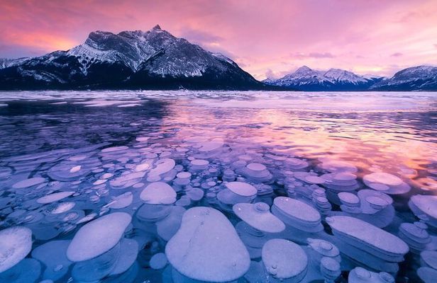 Columbia Icefield Sunwapta Falls Peyto Bow Lake Crowfoot Glacier