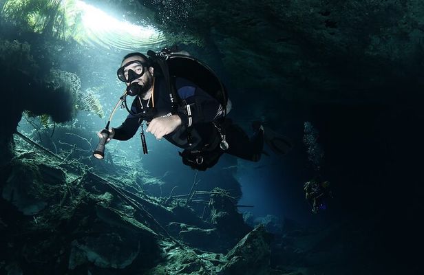 Mind Blowing Cenote Diving Experience In Playa del Carmen