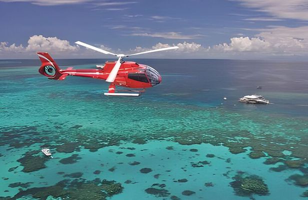 Fly in and Fly out Great Barrier Reef Cairns Day Tour