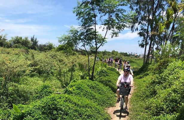 Half-Day My Son Sanctuary Bike Tour from Hoi An