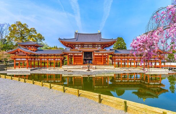 Full-dayTour in Osaka Nara, Todaiji temple and Uji Matcha