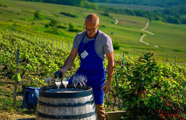 Private Tour of a Wine Estate and Tasting in Trélou-sur-Marne