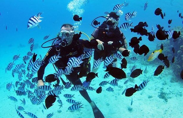 Baptism diving in the turquoise waters of Tahiti 