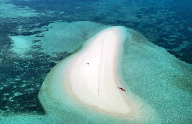Private Pungume sandbank beach &feeding,swimming with seaturtles 