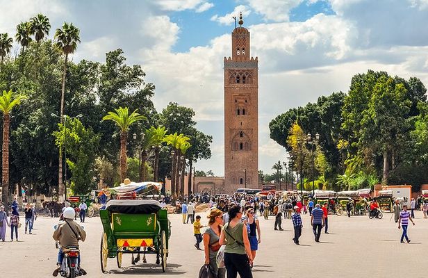 Half-Day Marrakech Highlights: Medina, Palaces, and More