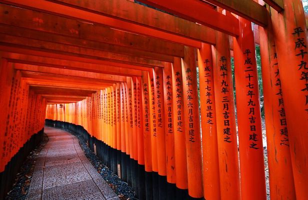 Kyoto Private Highlights Tour by Car