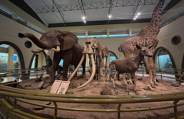Nairobi full Day and Cultural Day tour