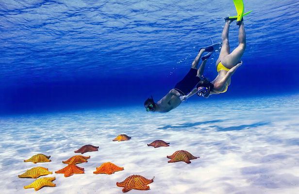 El Cielo Cozumel Snorkel Private Excursion and Beach Club