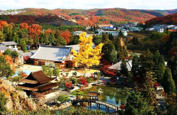 Tiger Creek Mountain, Eihoji Temple & Korankei Tour: From Nagoya