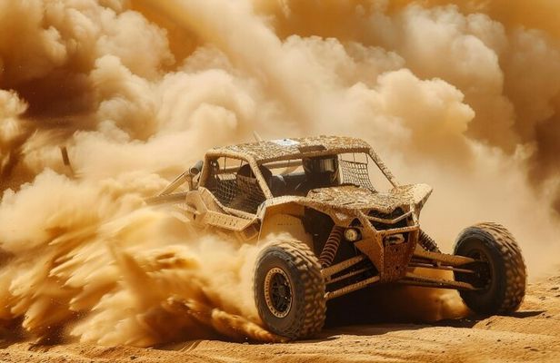 Desert Safari Experience from Dubai