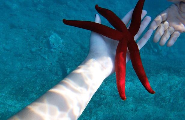 Taormina and Isola Bella Boat Tour: with Snorkeling and Aperitif