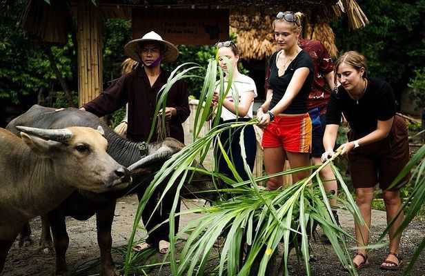 Discover Ninh Binh’s Highlights Hidden Gems 1 Day Motorbike Tour