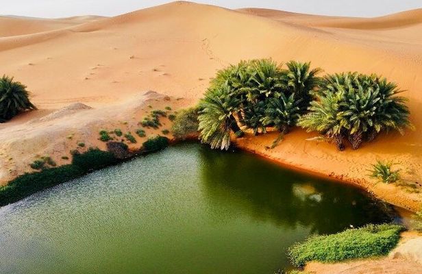 Riyadh City Tour with Camel Riding