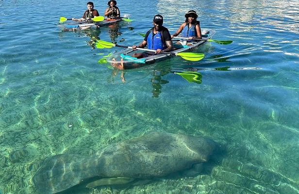 Morning Kayak Tour in Condado Lagoon