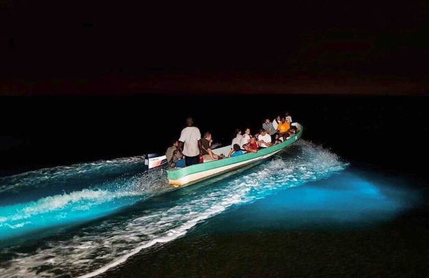Bioluminescence Snorkeling and Boat Experience at Bocas del Toro