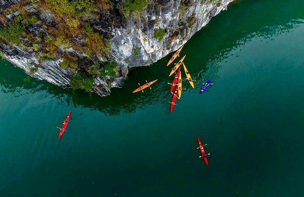 Hera Luxury Cruise: Top Choice for Luxurious Lan Ha Bay Day Trip