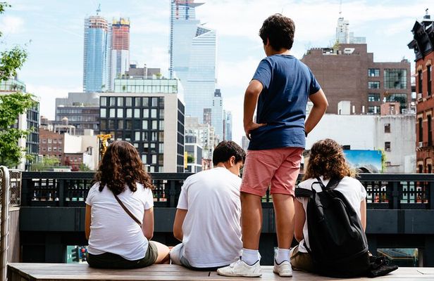 High Line, Chelsea & Hudson Yards Tour with Optional Edge Entry