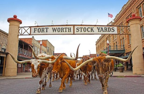 Fort Worth Stockyards Foodie Tour with Food Tours of America