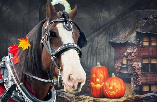 60-minute Haunted Halloween Tour