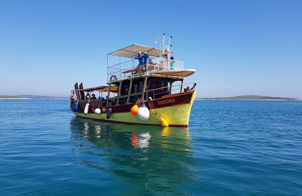 Private Sunset Dolphin Excursion with Dinner and Animation 