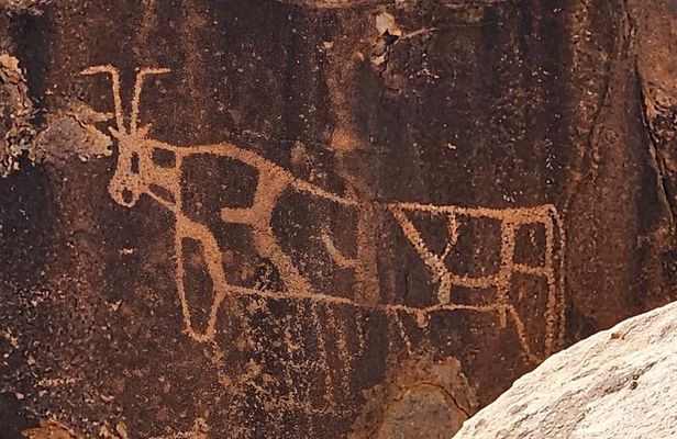 Historical Landmark in Tabuk Region Full Day Tour
