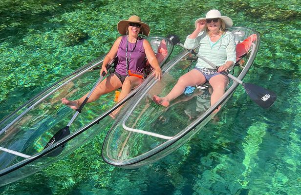 Clear Kayak Spring & Wildlife Tour Crystal River with Free Photos