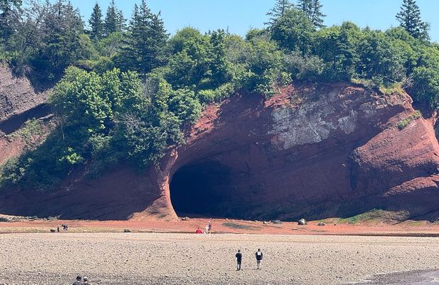 Exclusive Sightseeing Tour in Saint John