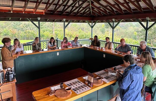 History Of Chocolate and Craft Chocolate Tasting