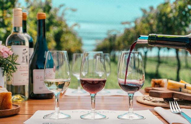 Buenos Aires: Wine tasting and lunch at Bodega Gamboa