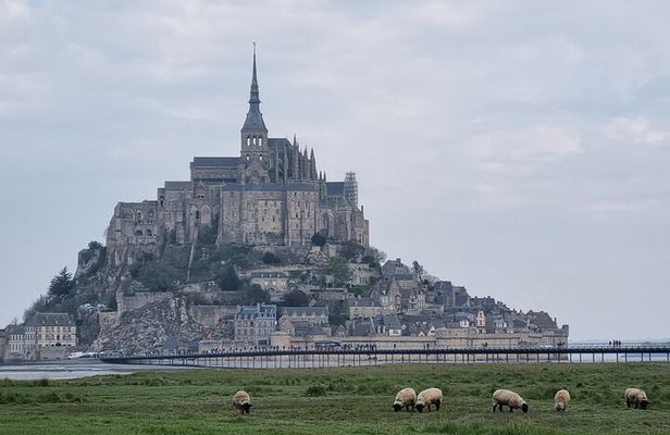 2 hour guided tour of Mont Saint Michel, abbey ticket included