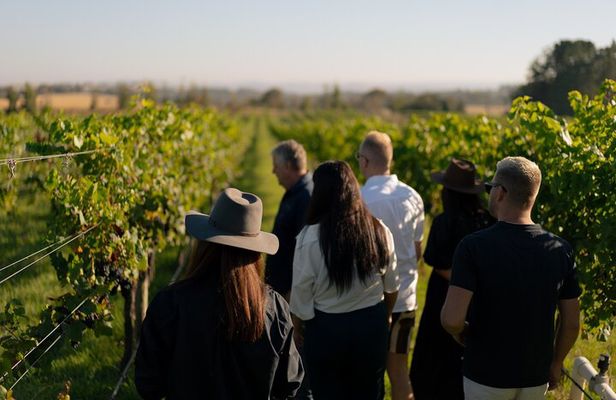 Estate to Plate Experience
