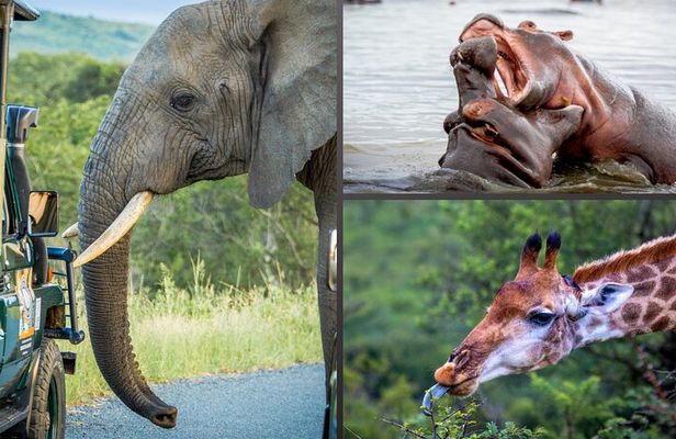 3 Day 2 Night Hluhluwe, St Lucia, Isimangaliso Tour