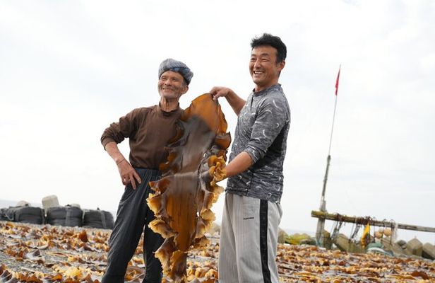 Kelp Fisheries Experience Traditional Japanese Food Culture
