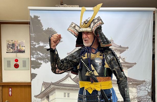 Odawara Castle Sightseeing Tour by Shinkansen