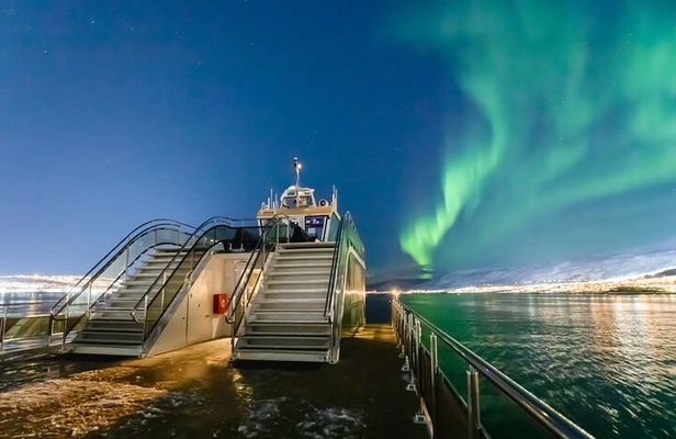 Northern Lights Cruise in Bodø