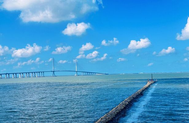 Half Day Bike Tour Around Chongming Changxing Island