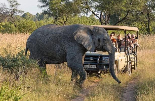 Sunset Safari Big 5 Aquila with Snacks and Wine Tasting