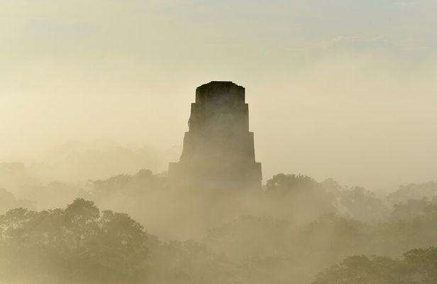 Private Full Day Tour in Tikal