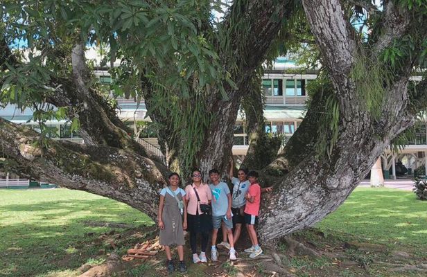 Full Day Tour in Linden Town with Lunch