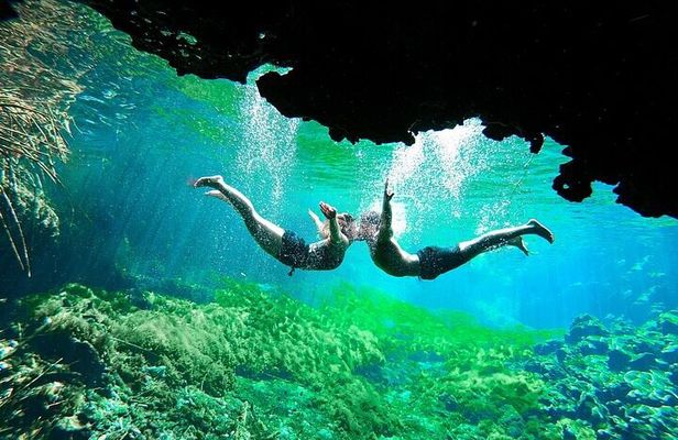 Underground Cenotes Snorkeling Tour with Mayan Snack