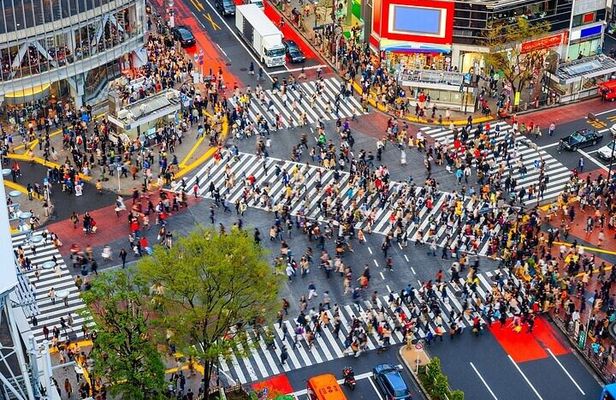 Tokyo: Exclusive City Highlights tour with Eng speaking Driver