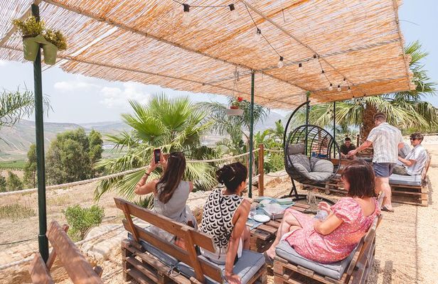 Picnic in an organic winery in Alcamo