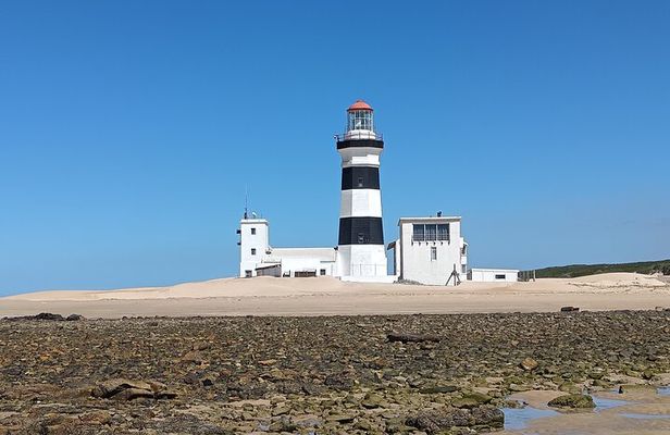 Guided Port Elizabeth Coastal Tour